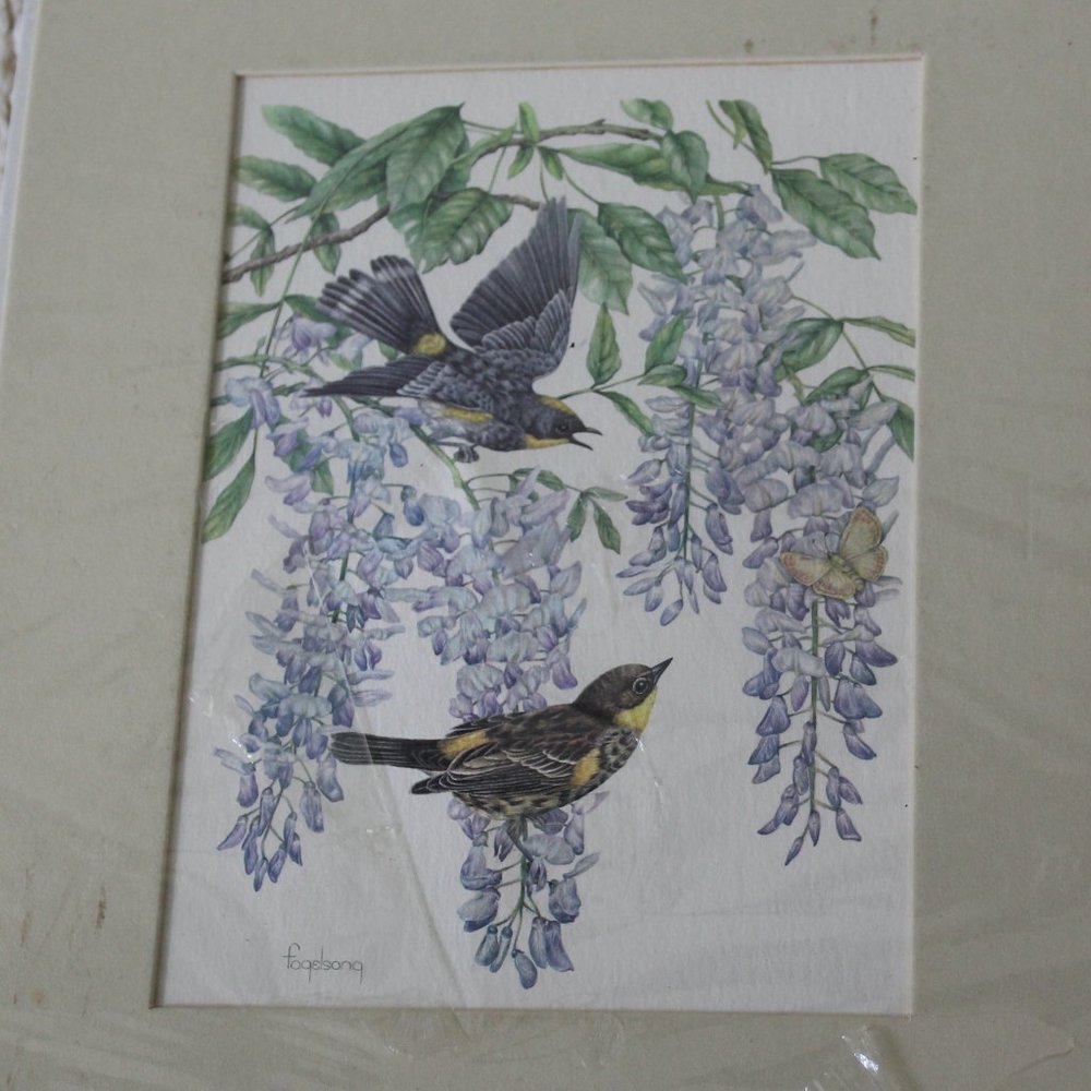 Vintage Jill Fogelsong Lithograph Watercolor, Audubon's Warbler with Wisteria